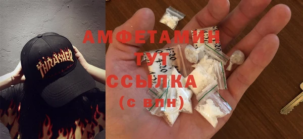 крисы Магас