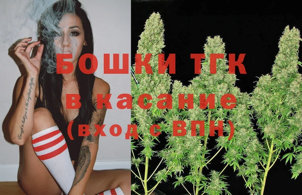 крисы Магас
