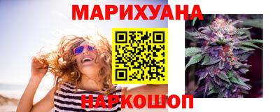 шишки Гатчина