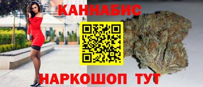 шишки Гатчина