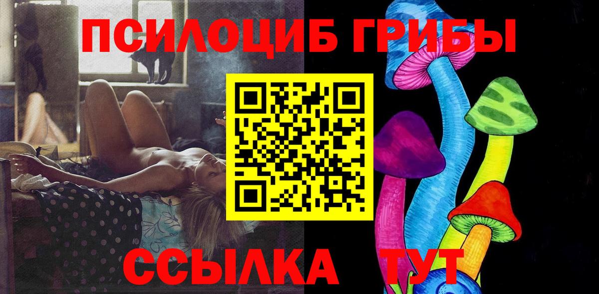 Псилоцибиновые грибы Psilocybe Усть-Джегута