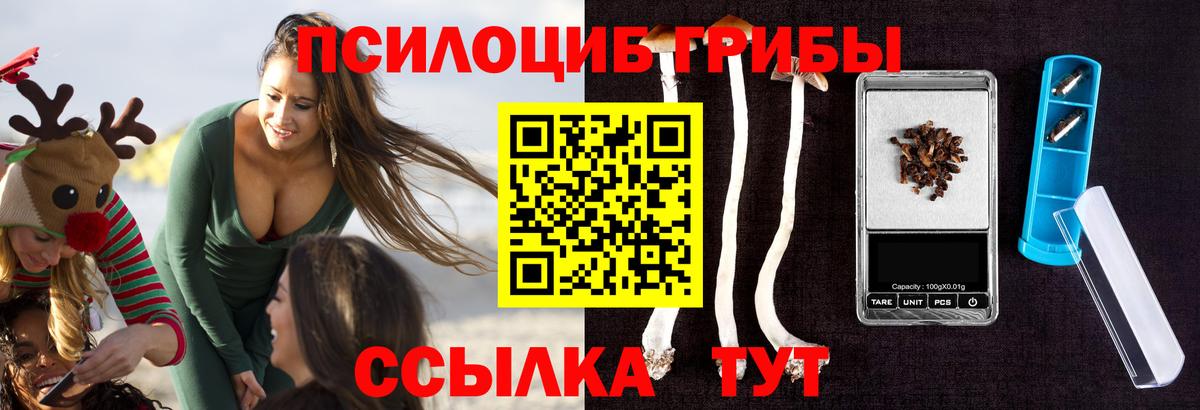 Галлюциногенные грибы Psilocybe  Вход с VPN  Усть-Джегута 